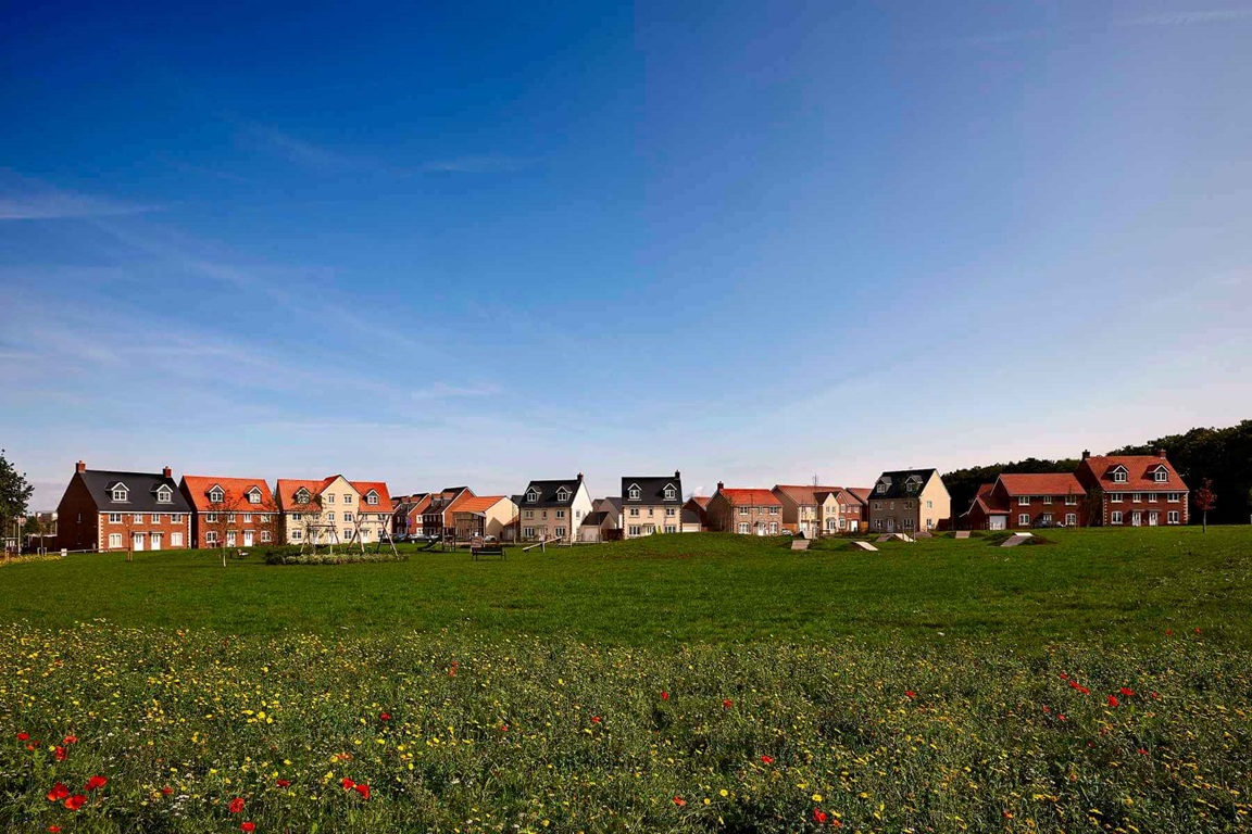 Street scene image of homes at Scholar's Chase