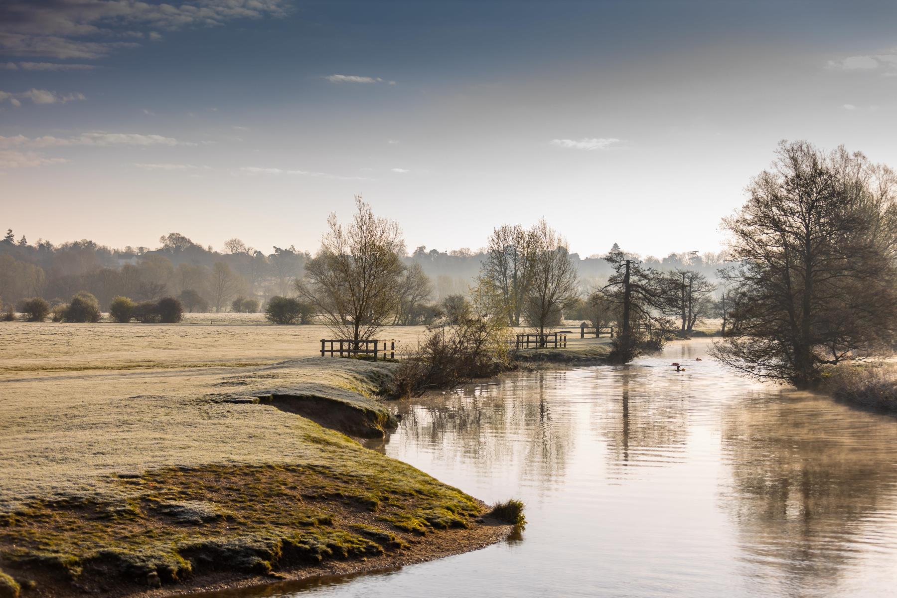 The_Laurels_0B6A7721