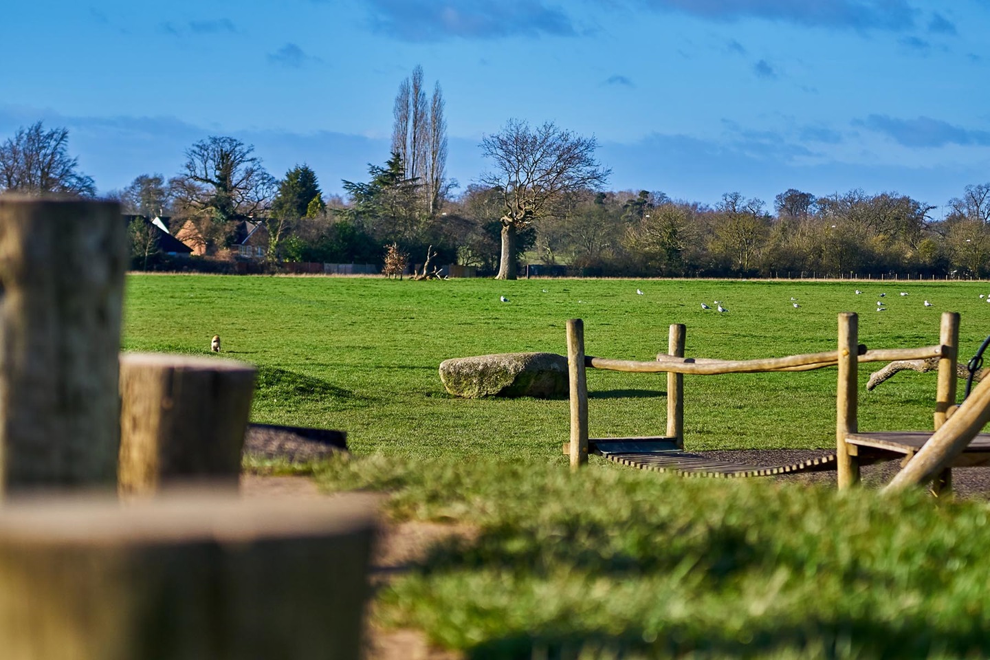 Appledown Orchard