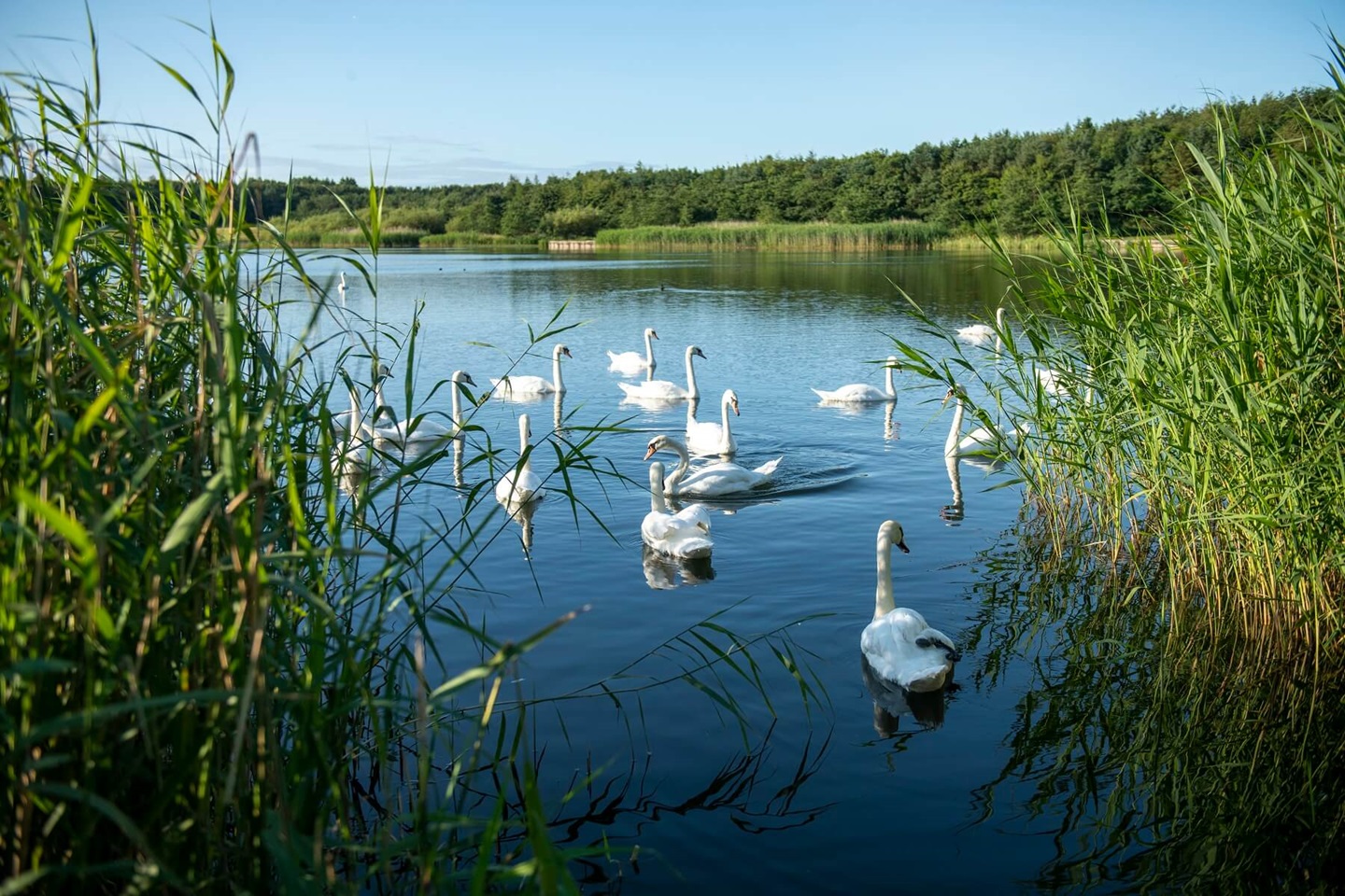 twne_north_seaton_park_area_035_AND7505 1800x1200