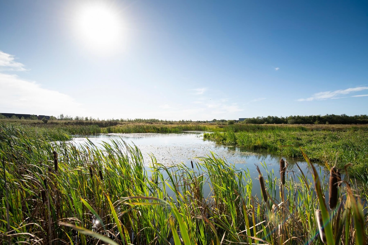052_twne_west_heath__AND8887 1800x1200