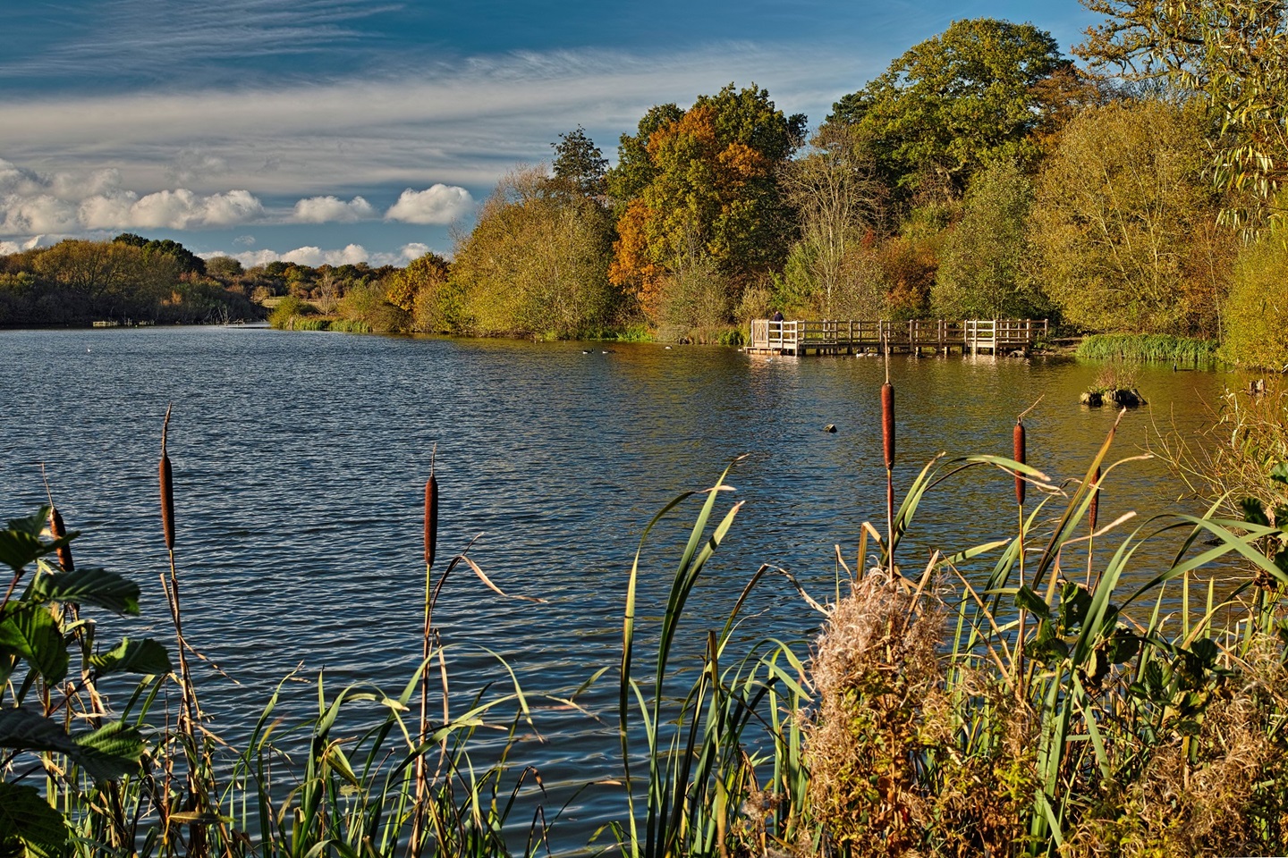 Hatfield Forest Lake