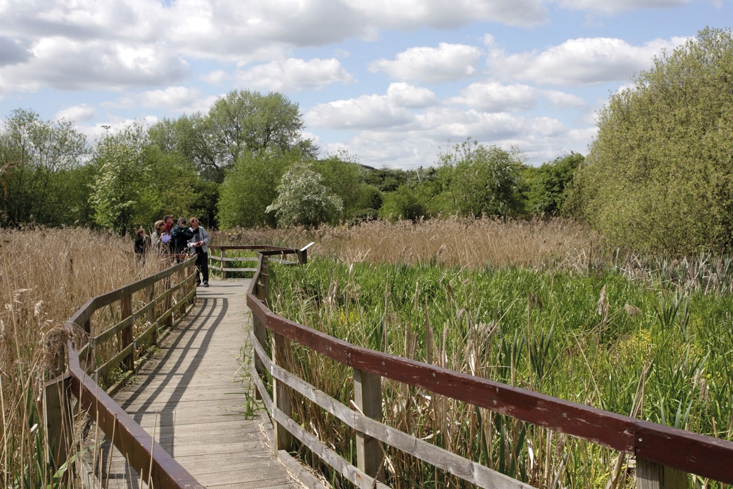 Rye Meads Nature Reserve