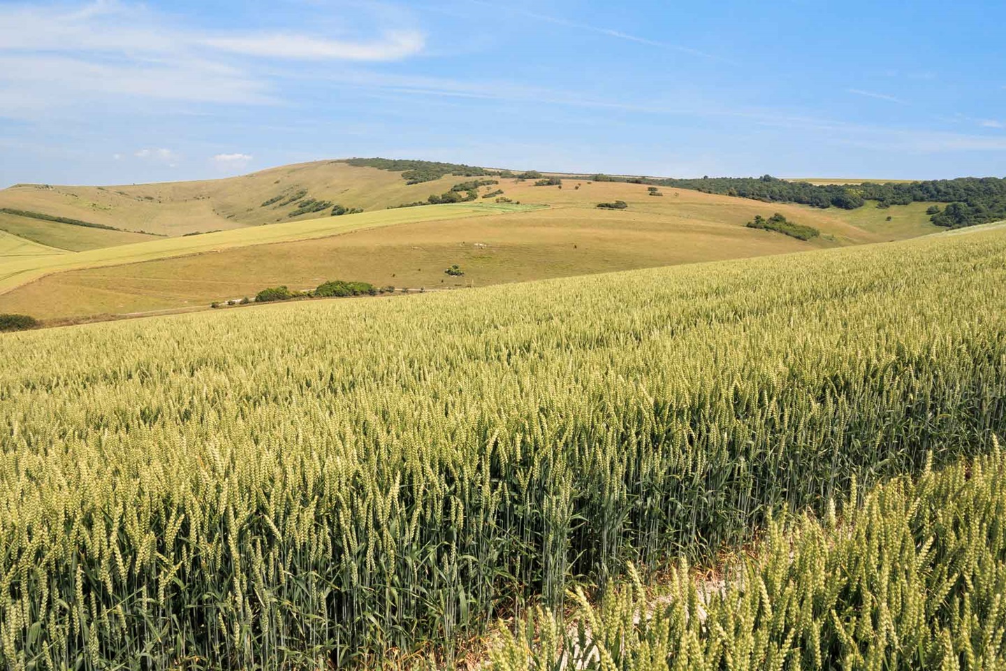 iStock-453081293_WEB