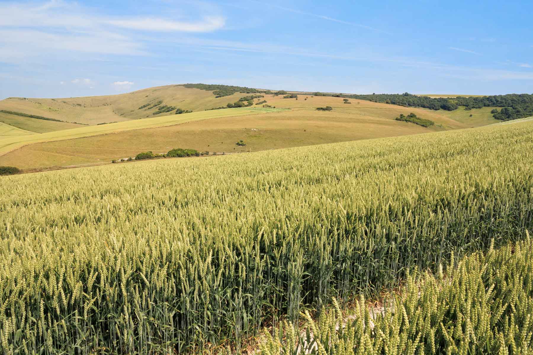 iStock-453081293_WEB