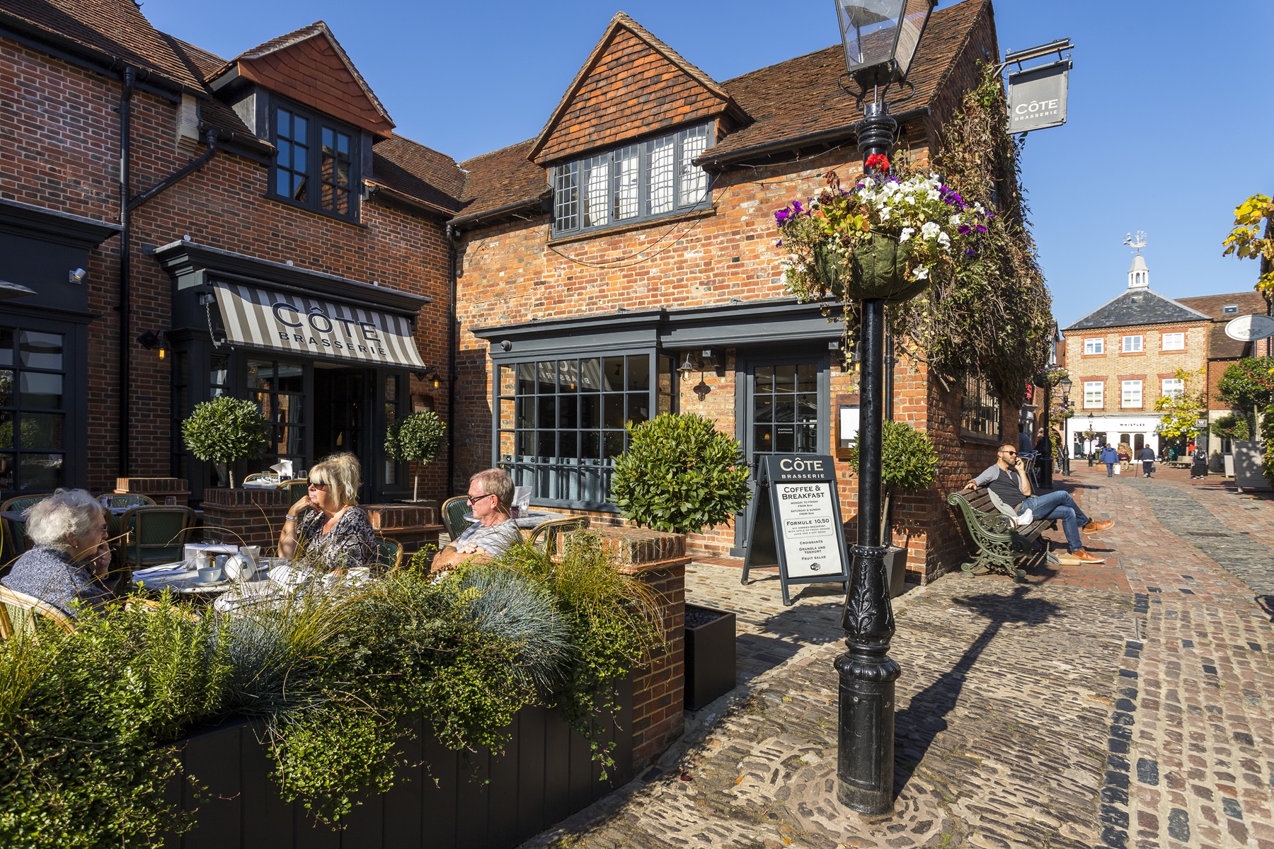 FarnhamLion  Lamb Yard 2