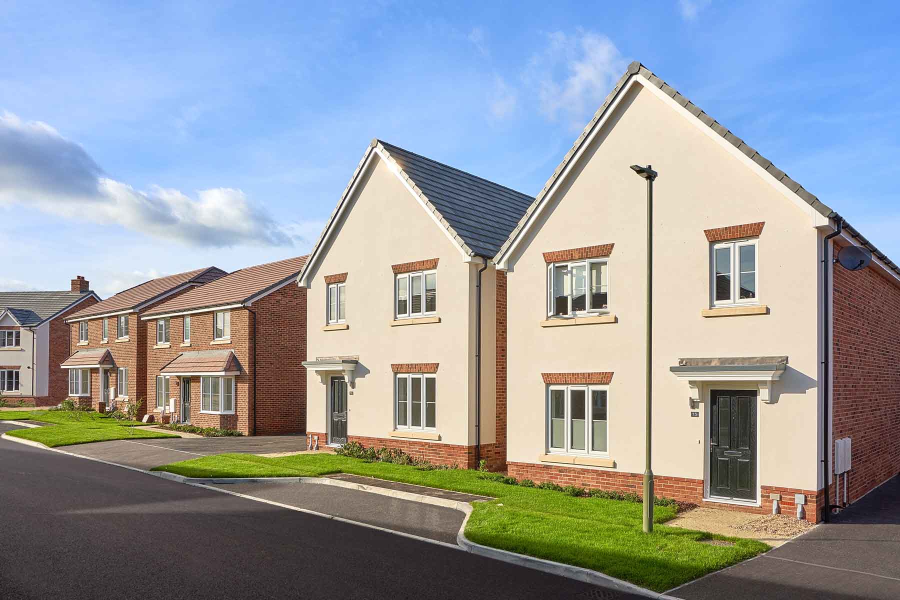 Street scene photograph