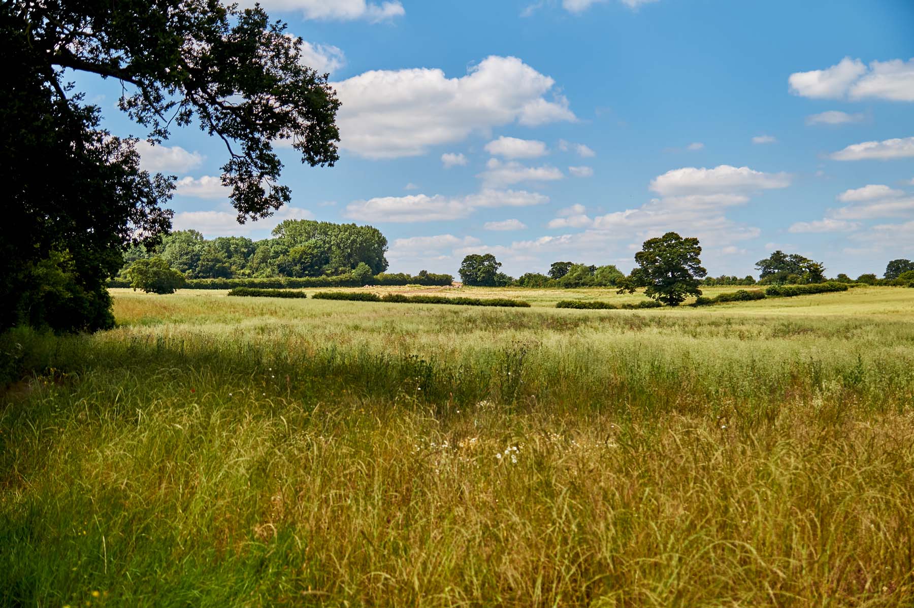 Fields - Burleyfields-Stafford-Area-June-1773