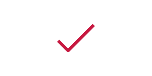 check icon