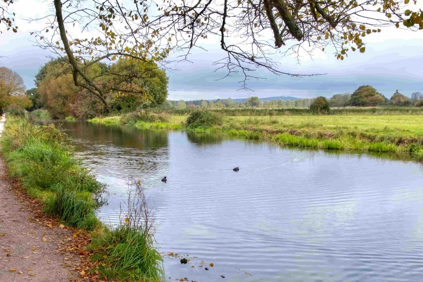 Canal with trees and fields