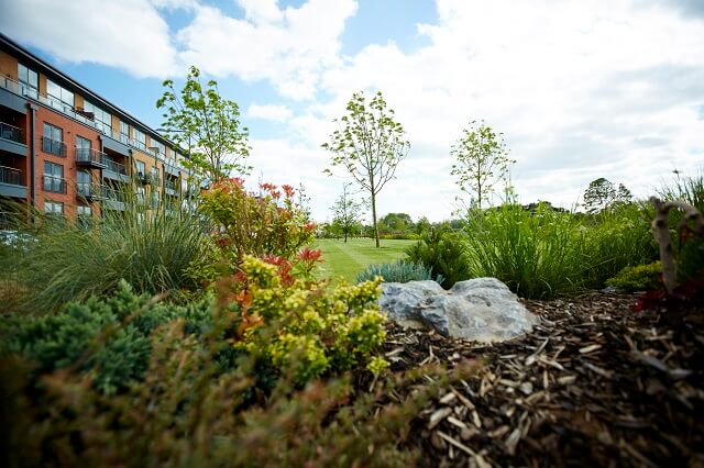 Landscaped garden